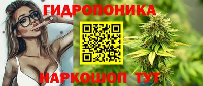 jwh Кимры