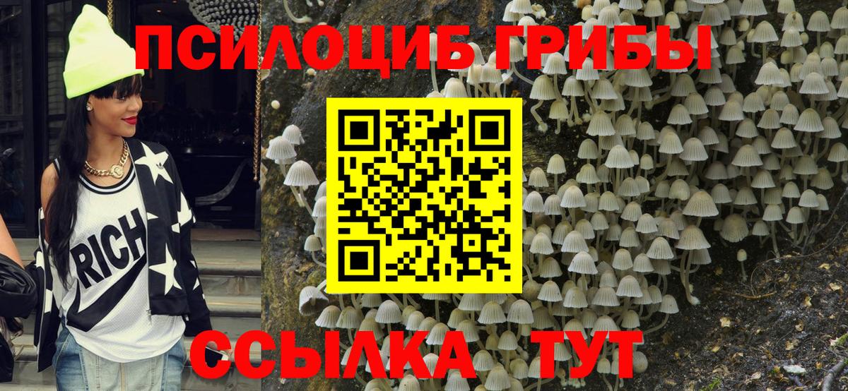 Галлюциногенные грибы GOLDEN TEACHER  Вход с VPN  Кунгур 