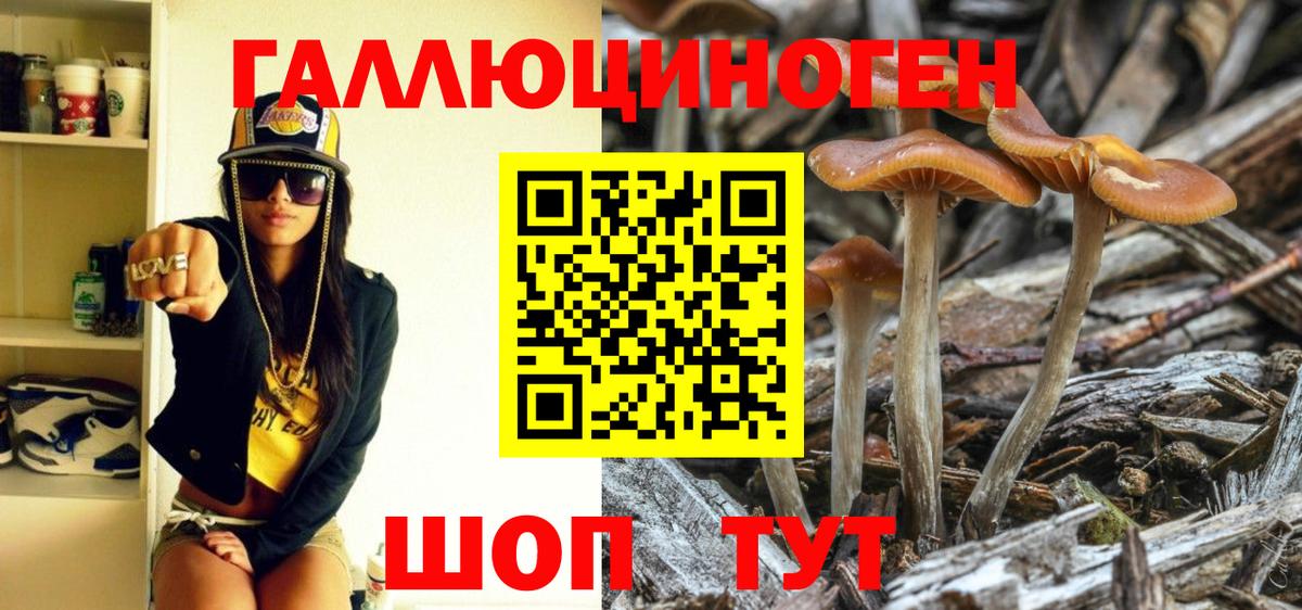 Галлюциногенные грибы мицелий Кунгур
